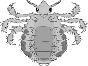 virus